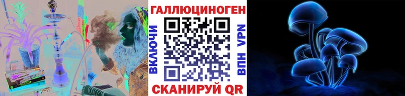 Купить закладки  Осинники  Галлюциногенные грибы Psilocybe 